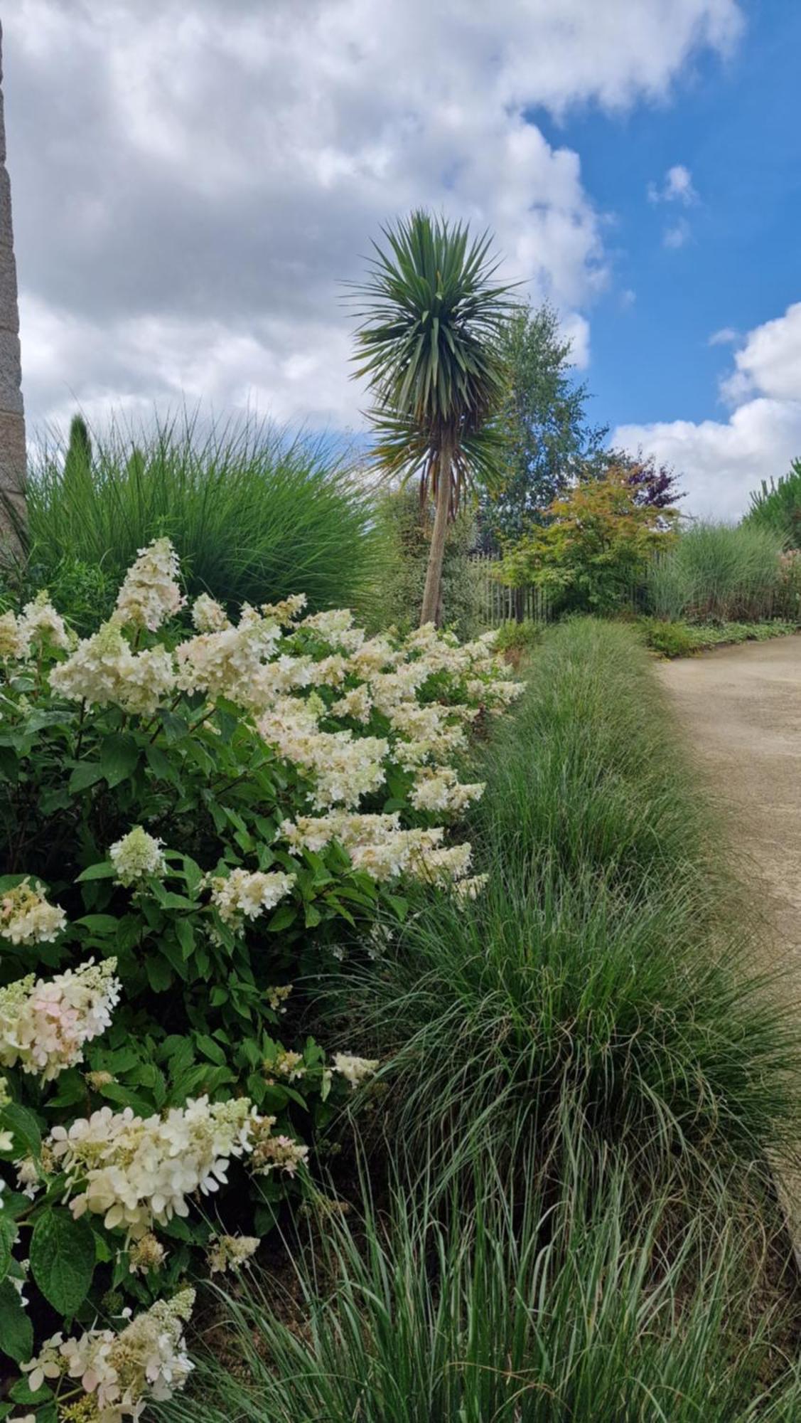 Les Gites Du Haut Pin Calorguen Exterior foto